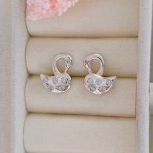 Aretes de cisnes